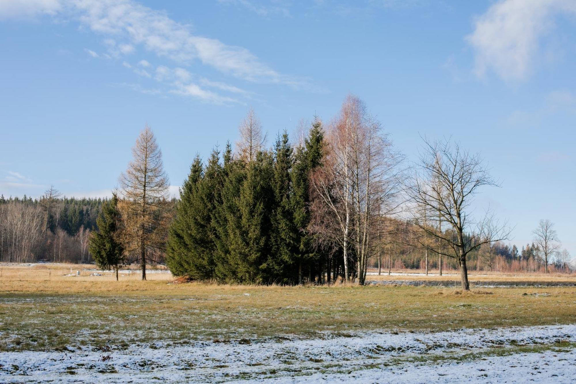 Alicjówka - domek Marciszow Exterior foto